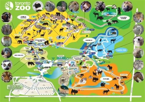 Toronto Zoo Canada | HubPages