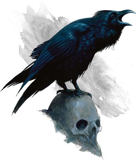 Raven | Forgotten Realms Wiki | Fandom