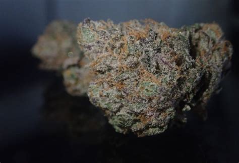 Strain Review: Gelato 33 by Cool Bred - The Highest Critic