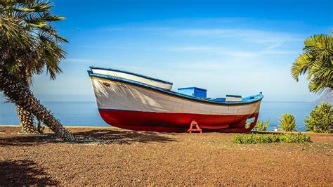 White and red fishing boat, boat, palm trees HD wallpaper | Wallpaper Flare