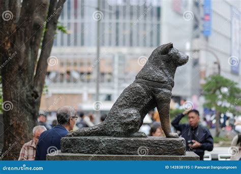 The Hachiko Dog Statue at Shibuya Station in Tokyo, Japan Editorial Image - Image of akita ...