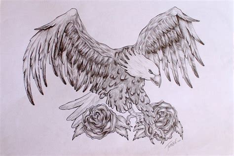 Eagle Tattoos Drawing