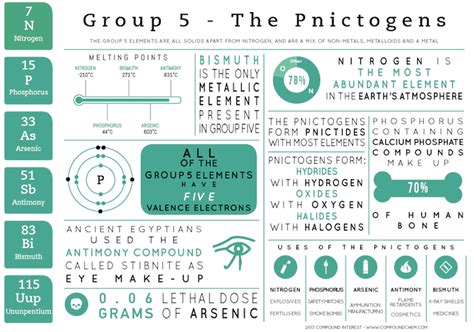 Element Infographics – Group 5 | Compound Interest