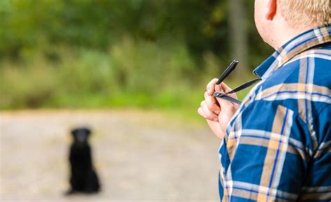 Dog Whistle Training 101: How Does It Work?