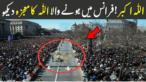 The Final Miracle || See What Miracle Of Allah Happened In France ...