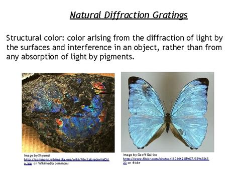 Applications of Diffraction Outline Interference Diffraction Examples Diffraction