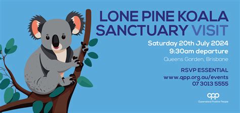 Lone Pine Koala Sanctuary Visit - Queensland Positive People