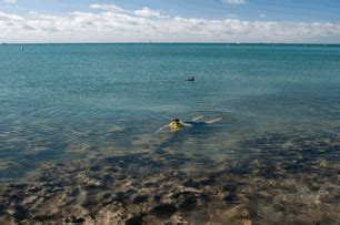 Sombrero Beach In Marathon Is A Beach Well Worth Visiting. Find Out ...