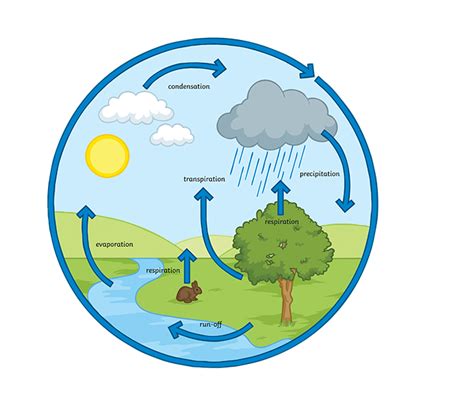 What is runoff? - Twinkl