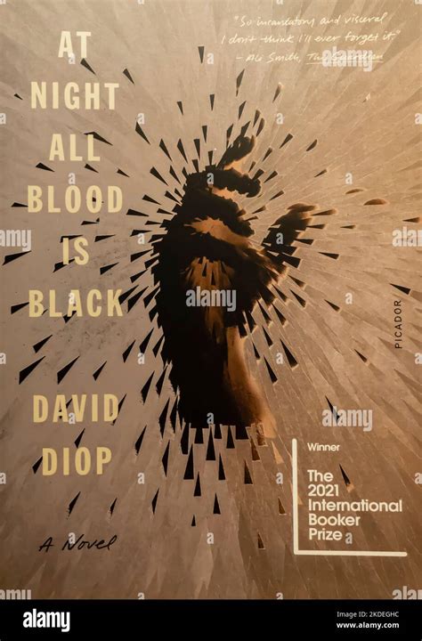 At Night All Blood Is Black by David Diop. 2018 Stock Photo - Alamy