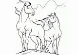 Cartoon Horse Coloring Pages  sketch template