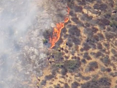 Brush Fire Erupts In Beverly Hills - Canyon News