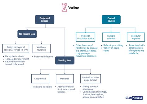 Vertigo - Gram Project