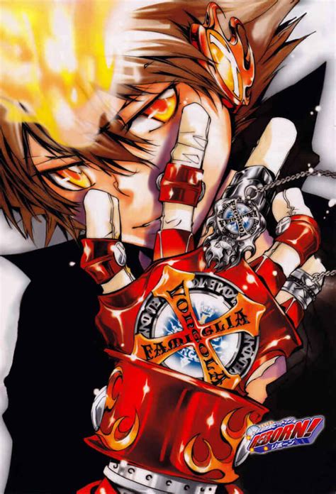 Image - Sawada Tsunayoshi Vongola Gear.jpg | Reborn Wiki | FANDOM ...