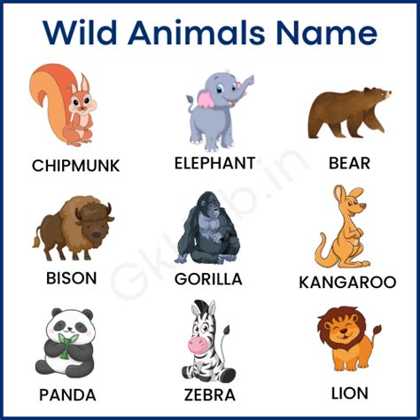 Images Of Wild Animals And Their Names