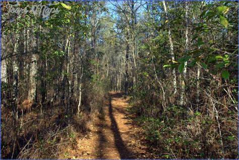 FRANCIS MARION NATIONAL FOREST SOUTH CAROLINA - ToursMaps.com