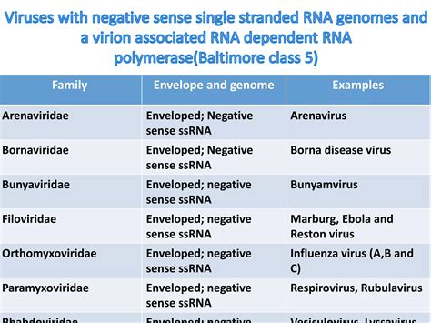 Classification of virus