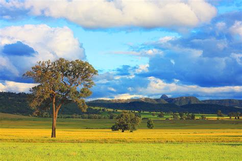 Landscape of rural Australia by syauqee on DeviantArt