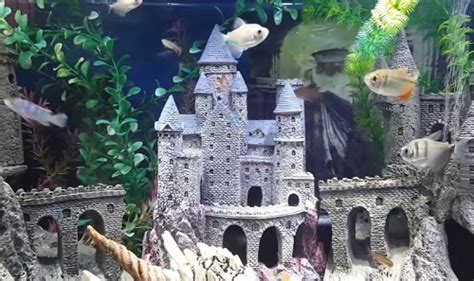 Castle decorations for small to large aquariums and setup ideas