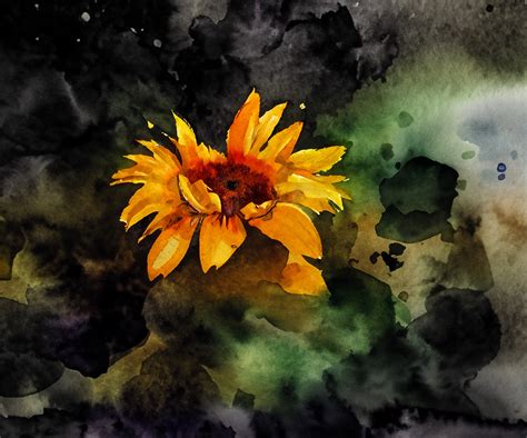 Sunflower Abstract Watercolor Art Free Stock Photo - Public Domain Pictures