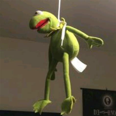 Kermit Hanging From Ceiling Fang | Americanwarmoms.org