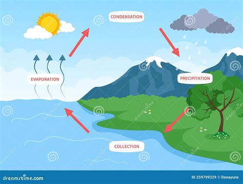 Water Cycle of Evaporation, Condensation, Precipitation To Collection ...