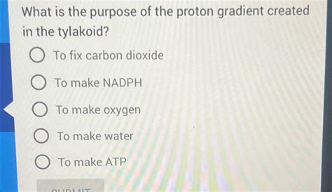 Solved What is the purpose of the proton gradient created in | Chegg.com