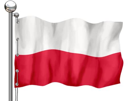 Flag of Poland 1 Free Photo Download | FreeImages