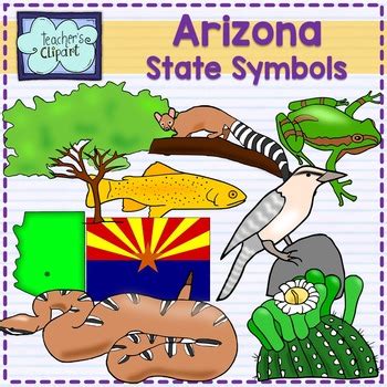 Arizona state symbols clipart by Teacher's Clipart | TpT