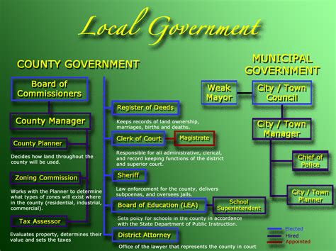 Three Branches Of Government Graphic Organizer