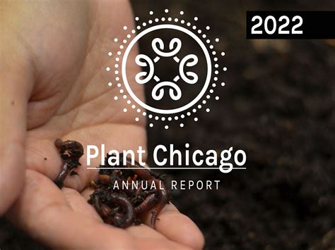 Plant Chicago Annual Report 2022