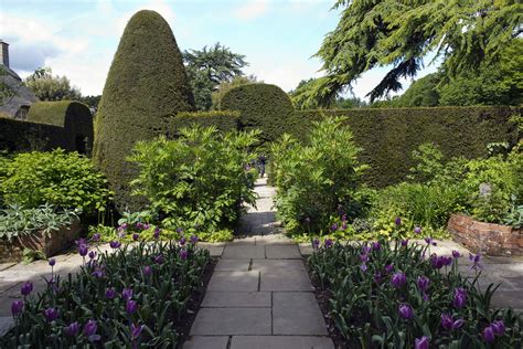 Hidcote Manor Garden - Emerald Plants