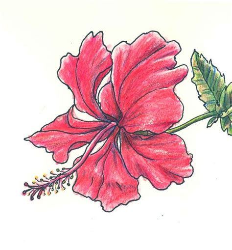 1001 + images de dessin de fleur pour apprendre à dessiner | Dessin de fleur, Dessin fleur ...