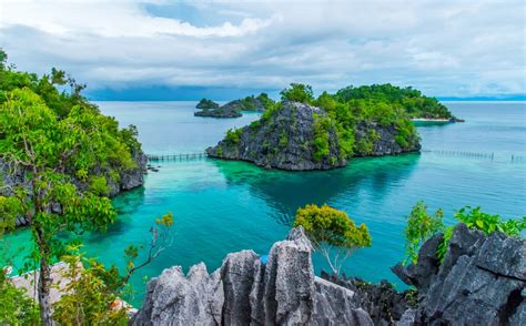 The Indonesian Island of Sulawesi Is an Evolutionary Puzzle | Discover Magazine