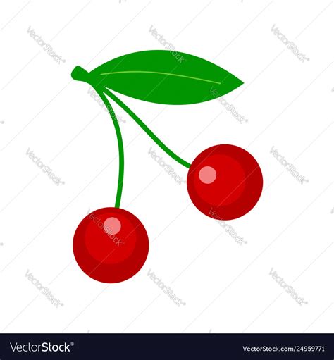 Cherry - fresh fruit natural berry Royalty Free Vector Image