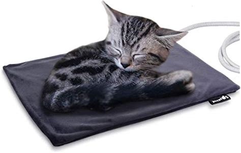 The 25 Best Cat Heating Pads of 2020 - Cat Life Today