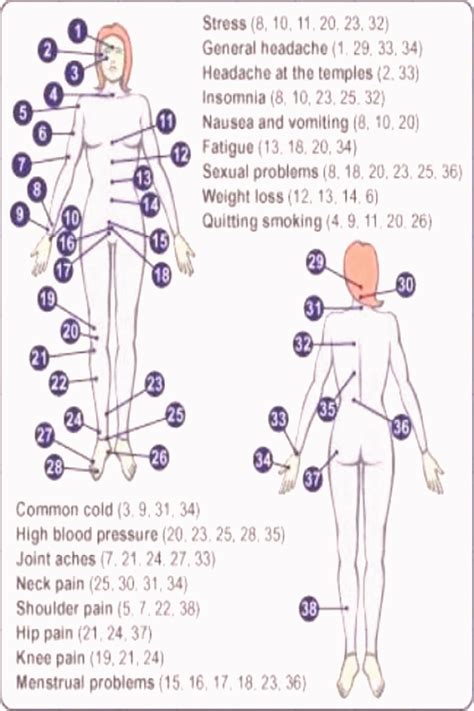 Printable Female Acupuncture Points Chart