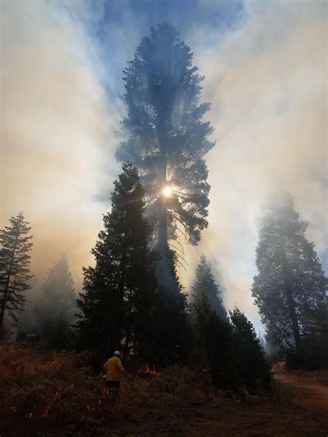 Applications for CAL FIRE Wildfire Prevention Grants Program - Rincon ...