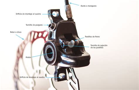 Mecánica: antes de la carrera – BICICLUB