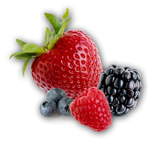 Download Berries Transparent Picture HQ PNG Image | FreePNGImg