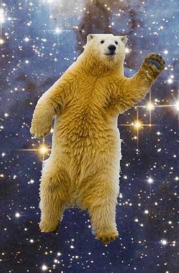 The polar bear who dances through the infinite void of space | Bear gif ...