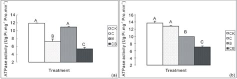 ATPase activity in various treatments. (a) Activity of ATPase in plasma ...