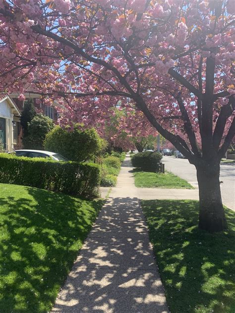 Edge of the City: Forest Hills Gardens in Springtime