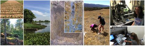 Research – Molecular Biogeochemistry of Soils