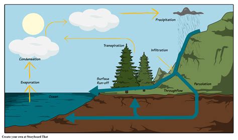 Water Cycle Diagram Labeled For Teenagers