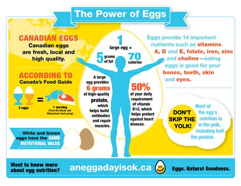 Egg Nutrition - Egg Farmers of Alberta