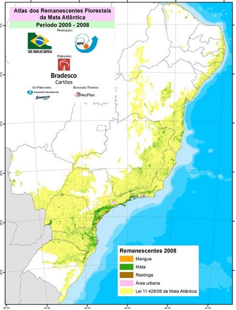 Brazil's Atlantic Forest (Mata Atlântica)