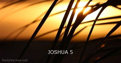 JOSHUA 5 - DailyVerses.net