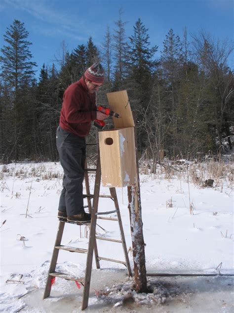 Clyde Pond Wood Duck Nesting Box Survey – Northwoods Stewardship Center