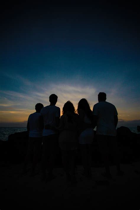 Family Silhouette looking into the Sunset | Friendship photography ...